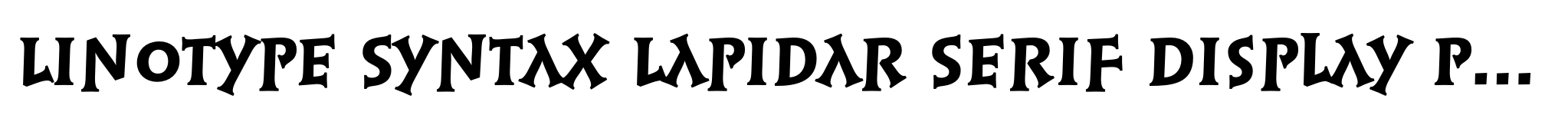 Linotype Syntax Lapidar Serif Display Pro Heavy image